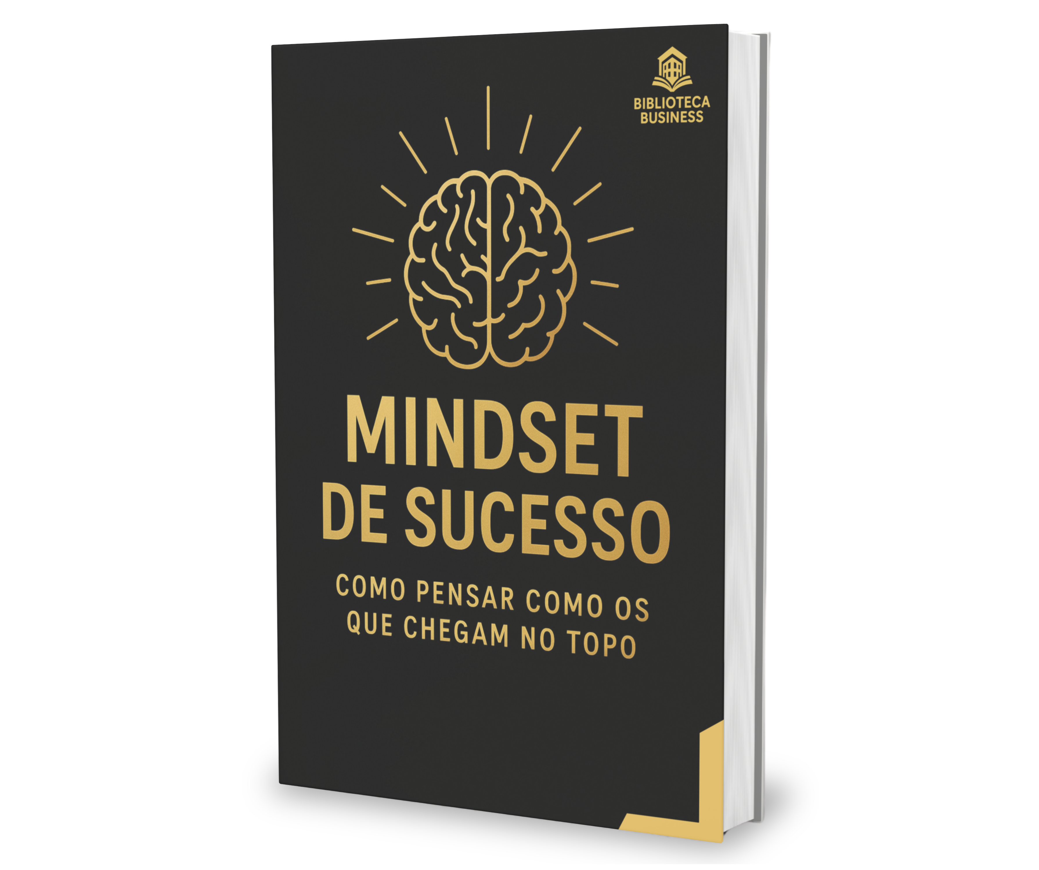 CAPA - Mindset de Sucesso.png__PID:0e26e0d9-e71d-4d6d-8f7e-ea39060715e2